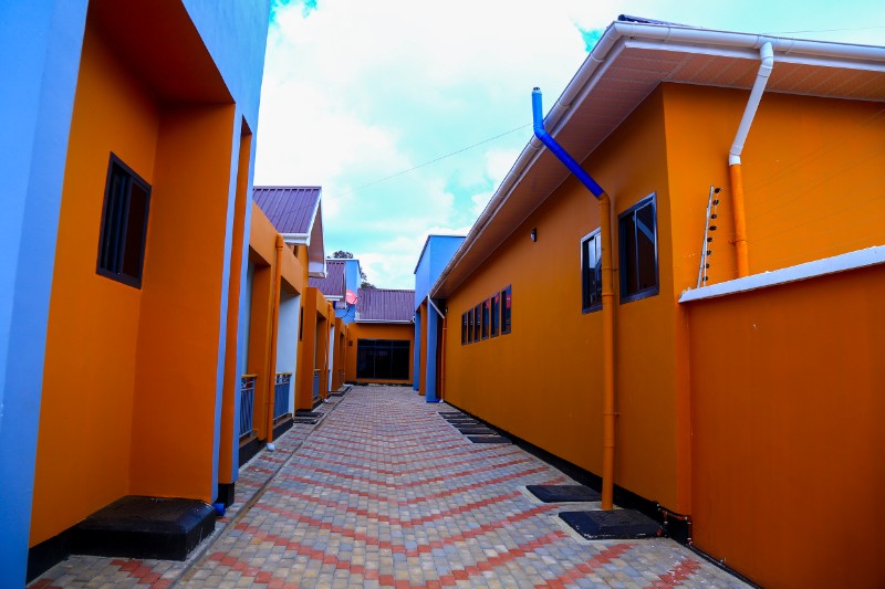 Experience a quiet nature